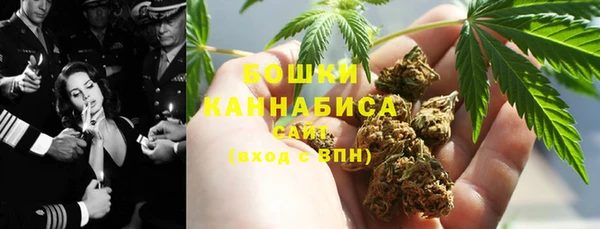 прущие грибы Балабаново