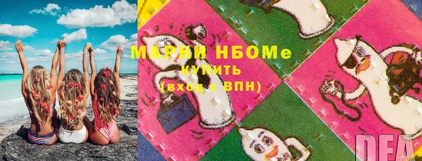 прущие грибы Балабаново
