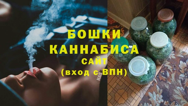 прущие грибы Балабаново