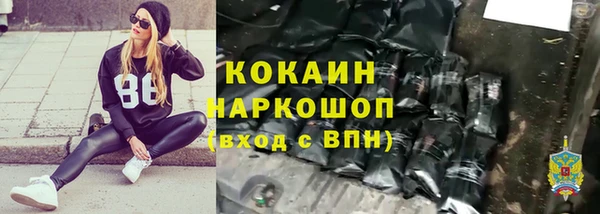 прущие грибы Балабаново