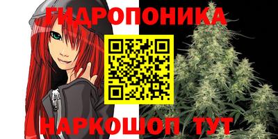 тгк Краснодар