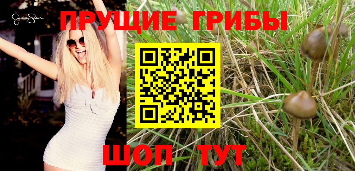 Валуйки  Псилоцибиновые грибы мухоморы  Вход с VPN 